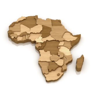 Bois d'Afrique