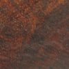 Nom Anglais : Letterwood (Snakewood) - Coquillo