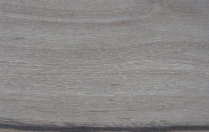 Bauhinia roxburghii
